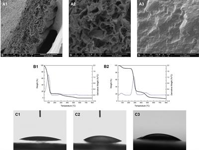 Fabrication and Characterization of Collagen/PVA Dual-Layer Membranes for Periodontal Bone Regeneration